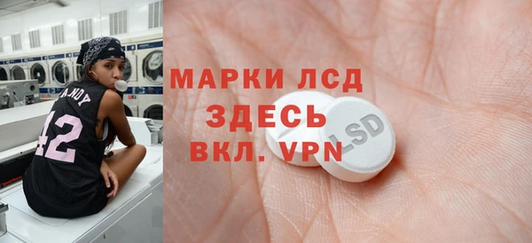 индика Новокубанск