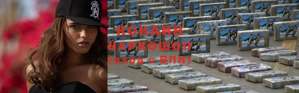 индика Новокубанск