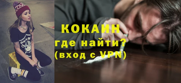 индика Новокубанск