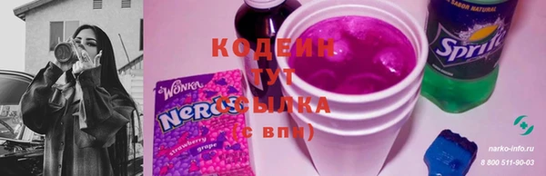 герыч Новодвинск