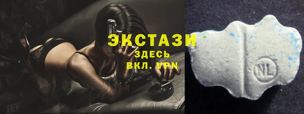 индика Новокубанск