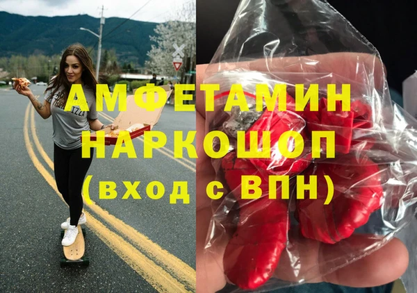 индика Новокубанск
