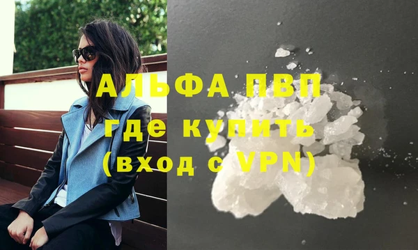 индика Новокубанск