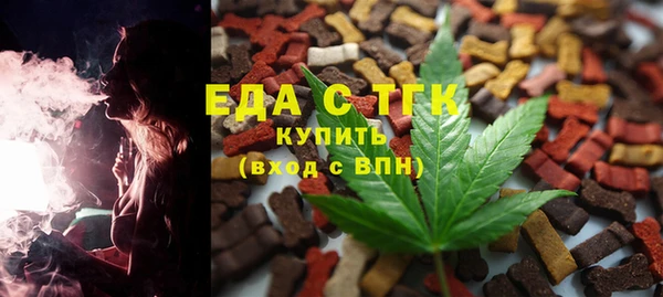 индика Новокубанск
