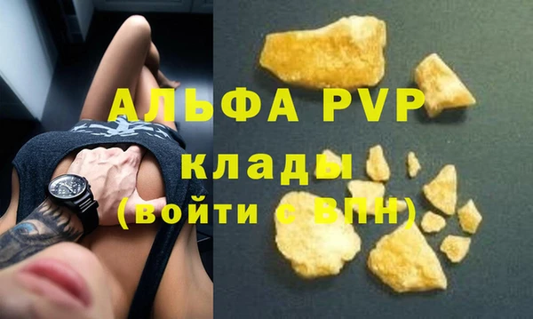 индика Новокубанск