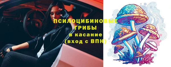 герыч Новодвинск