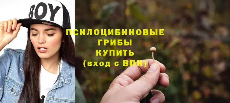 Псилоцибиновые грибы MAGIC MUSHROOMS  Адыгейск 