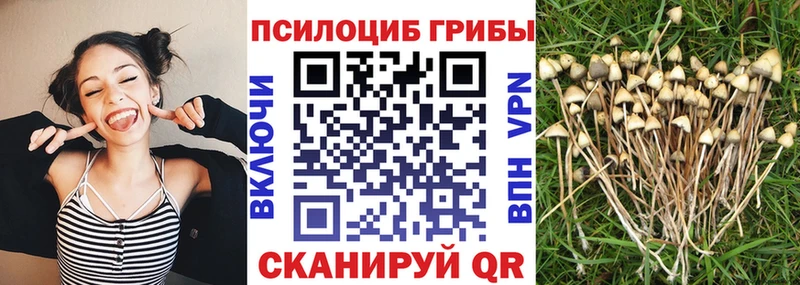 Галлюциногенные грибы GOLDEN TEACHER  Адыгейск 